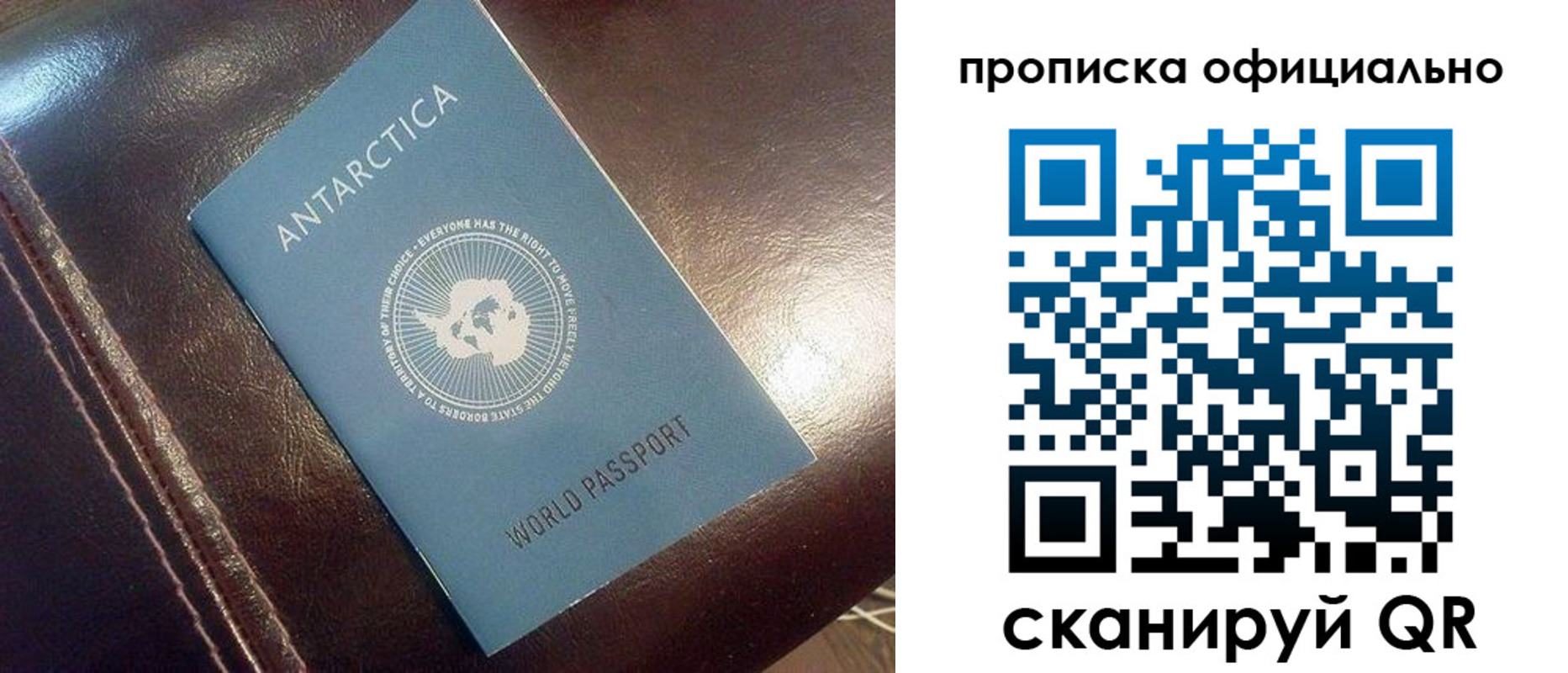 временная регистрация адрес в Светогорске